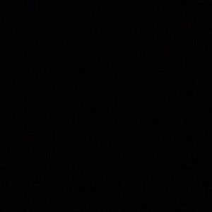 Meet your Posher, Daisy